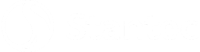 Stantec Logo